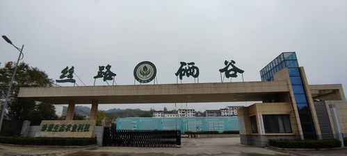 絲路硒谷香飄遠(yuǎn) 專家賦能譜新篇——安康市院士專家工作站現(xiàn)場會石泉行紀(jì)實(shí)
